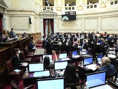 Alivio fiscal: punto por punto, qué implica la medida que convirtió en ley el Senado