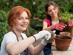 Ni café ni aguacate: el fertilizante natural que puedes crear en casa con estos alimentos para fortalecer tus plantas