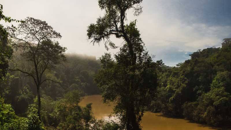 En plena selva misionera se encuentra un lugar que te permite descansar y tener contacto directo con la naturaleza.