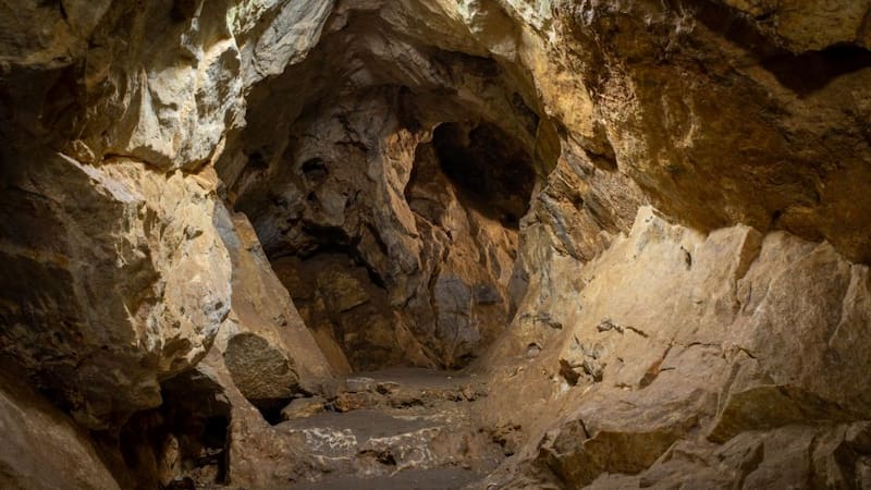 Descubrimiento sin precedentes: arqueólogos hallan en China el secreto del origen del hombre.