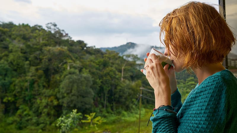Explorá los beneficios de una hierba medicinal que fue utilizada por generaciones para combatir diferentes patologías.