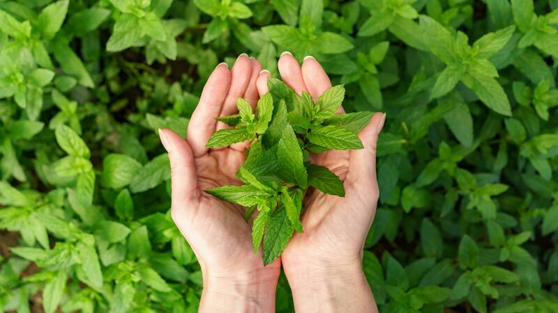 <div class="migrated-promo-image__description"><div class="migrated-promo-image__source">Fuente: Freepik</div></div>