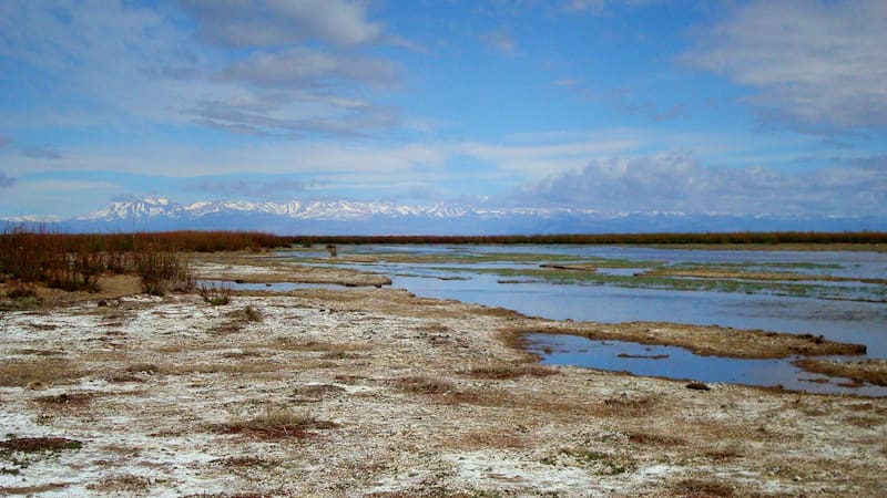 El texto, que busca proteger y regula el uso de los humedales -que representan el 21% del territorio nacional- es muy amplio en sus alcances geográficos.