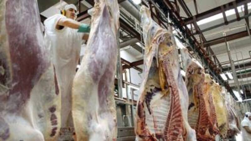 Las exportaciones de carne bovina aumentaron un 7%