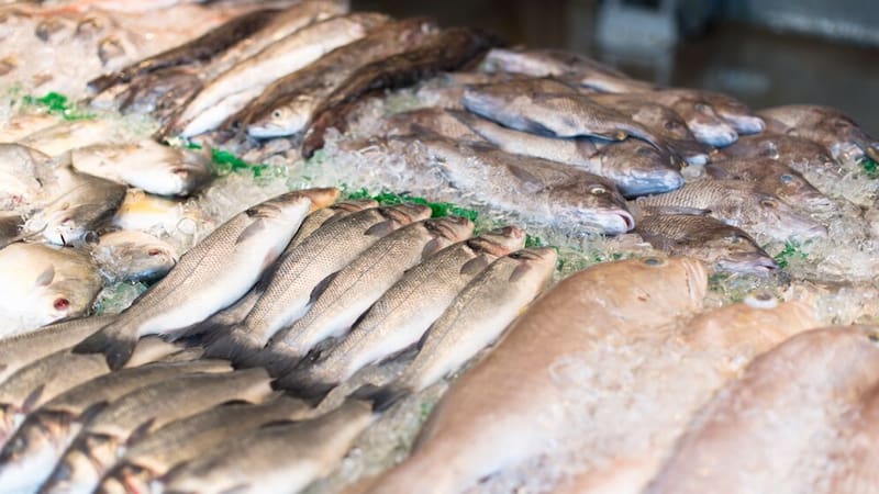 Exigen que se retire este popular pescado de todos los supermercados por los altos niveles de mercurio.