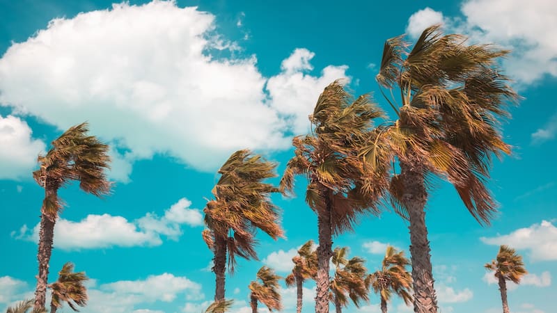 <div class="migrated-promo-image__description"><div class="migrated-promo-image__source">Fuente: Freepik</div></div>