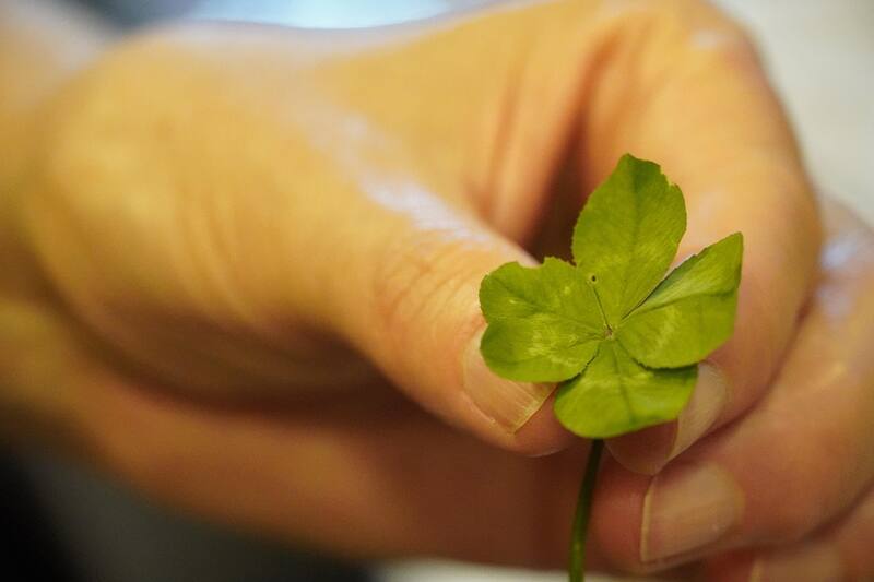 Resultados del Bonoloto en España (foto: Pexels).