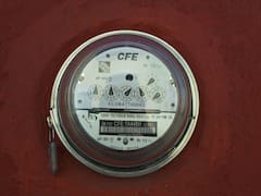 ¿Encontraste un "diablito" en tu medidor de luz? Esto es lo que debes hacer