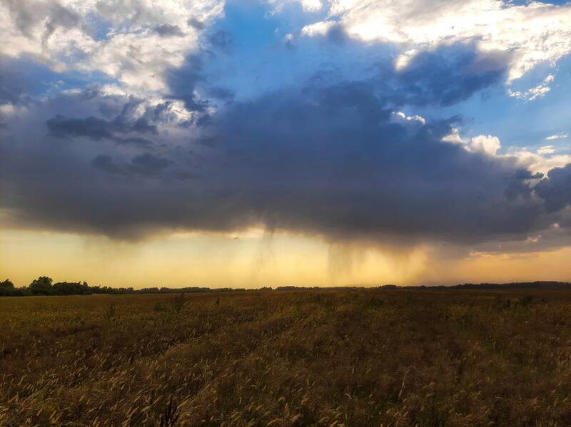 ¿Cómo está el clima en México hoy?