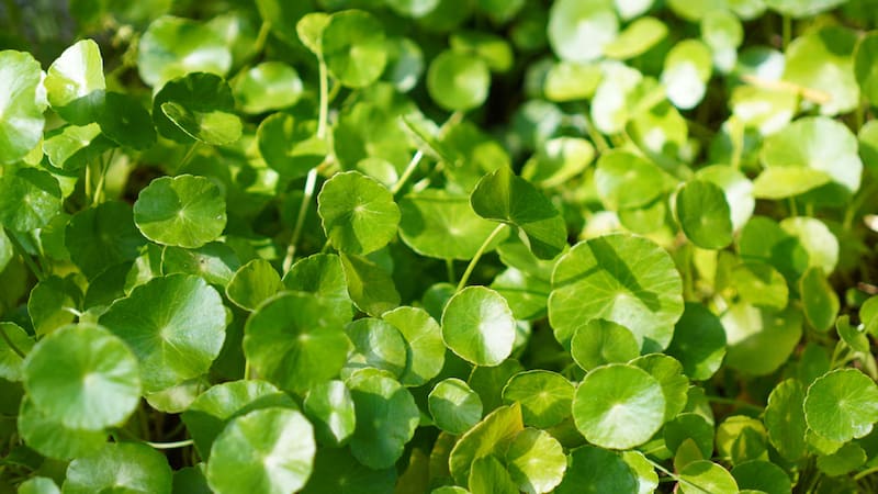 <div class="migrated-promo-image__description"><div class="migrated-promo-image__source">Fuente: iStock</div></div>