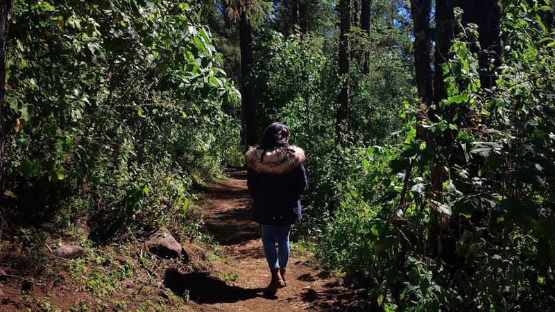 <div class="migrated-promo-image__description"><div class="migrated-promo-image__source">Fuente: Instagram @mooniquilla</div></div>