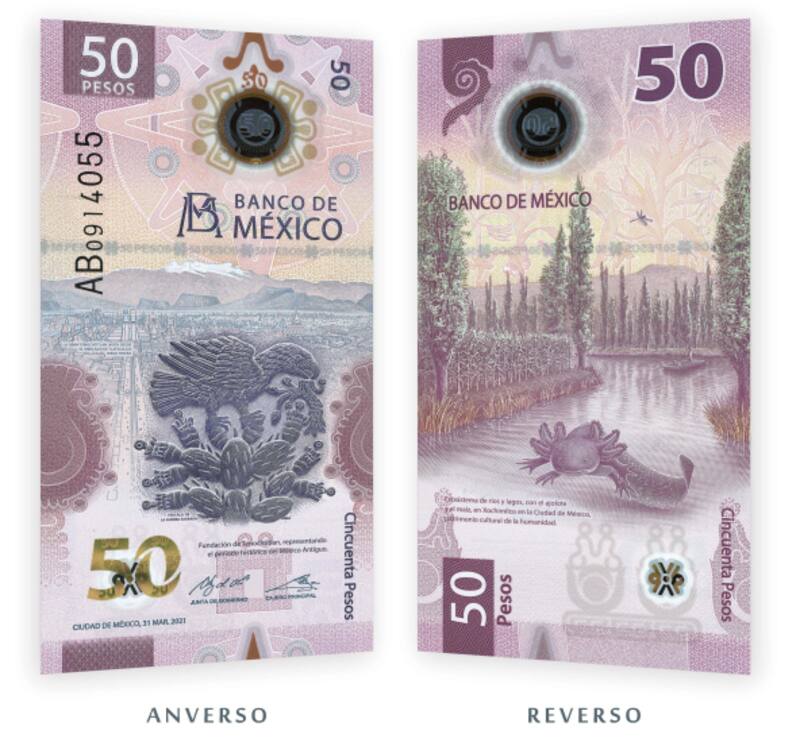 Coleccionistas buscan un billete de 50 pesos y pagan millones por él. Foto: Banco de México.
