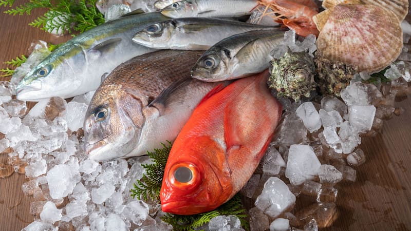 Este es uno de los pescados más recomendados por nutricionistas.