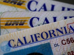 Urgente | Estados Unidos permitirá manejar con licencias vencidas a los conductores que cumplan estos requisitos