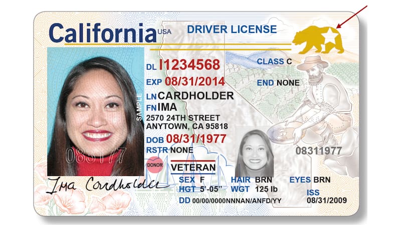 El Departamento de Vehículos Motorizados advirtió sobre este error común en el vencimiento de las matrículas. Imagen: archivo.