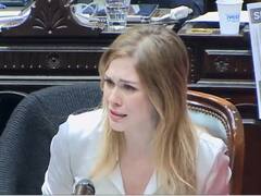 La diputada Lilia Lemoine se quebró en plena sesión y reveló que fue víctima de violación
