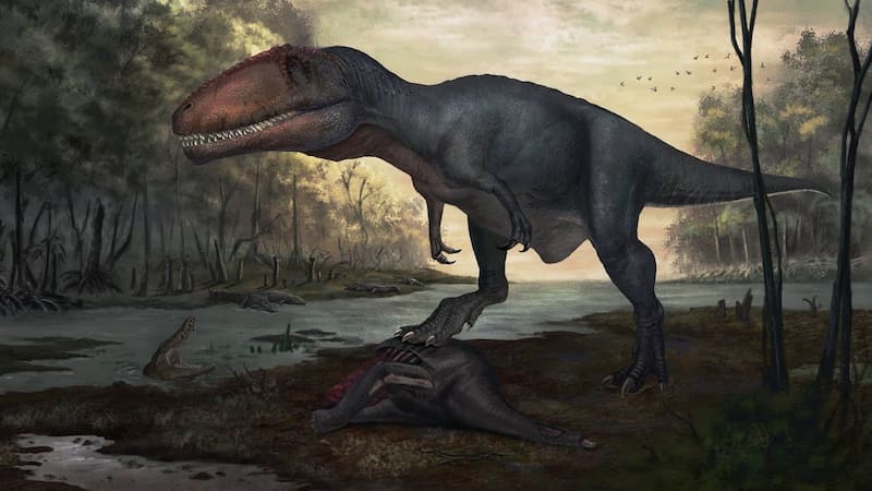Taurovenator violantei