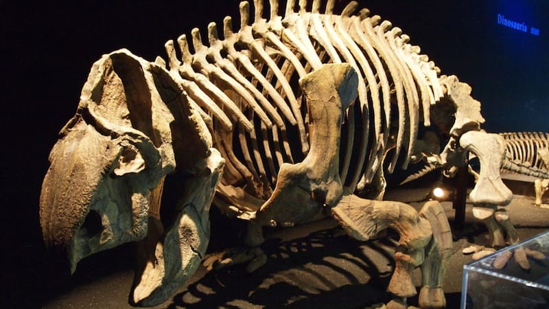 <div class="migrated-promo-image__description"><div class="migrated-promo-image__source">Fuente: shutterstock</div></div>