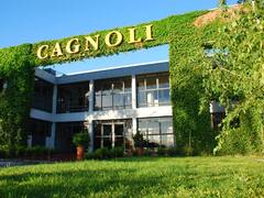 Cagnoli invierte u$s 15 millones para volver a exportar