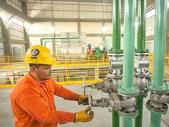 El mayor productor de etanol de caña de azúcar del país invirtió u$s 30 M para generar energía verde