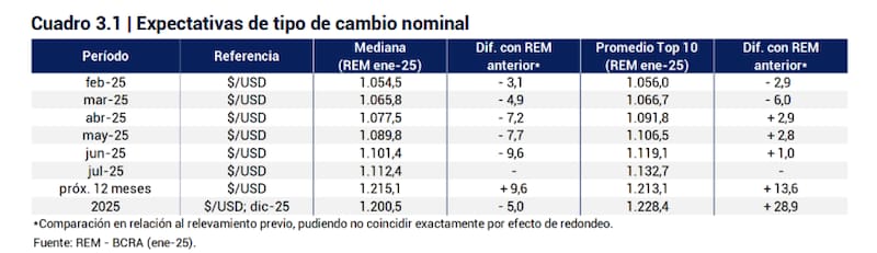 Dólar 2025: qué va a pasar con la divisa este año, según las principales consultoras