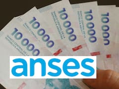 ANSES confirmó un bono de casi $ 550.000 y se pagará en septiembre por única vez: ¿a quiénes beneficia?