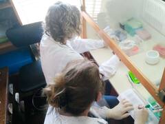 El CONICET lanza un nuevo método para confirmar casos del virus: cómo se hace la prueba y por qué es mejor