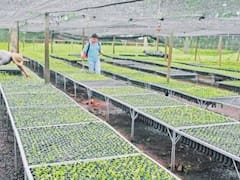 Yerbateros llegaron a un acuerdo y levantaron la protesta en Misiones