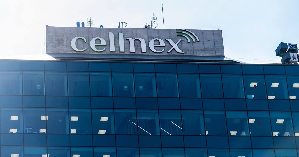 Cellnex vende Towerlink France a VIF por 391 millones y refuerza su ...