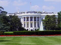 Los dólares de Washington, más abundantes que la billetera de Wall Street