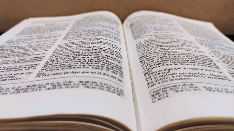 Descubrimiento histórico: hallaron un capítulo de la Biblia que estaba escondido desde hace 1500 años.