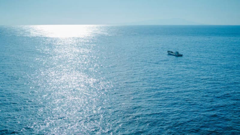 Reapareció un animal que no se veía desde 1929.