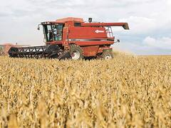 Por mejores perspectivas, suben 10% los alquileres de campos agrícolas