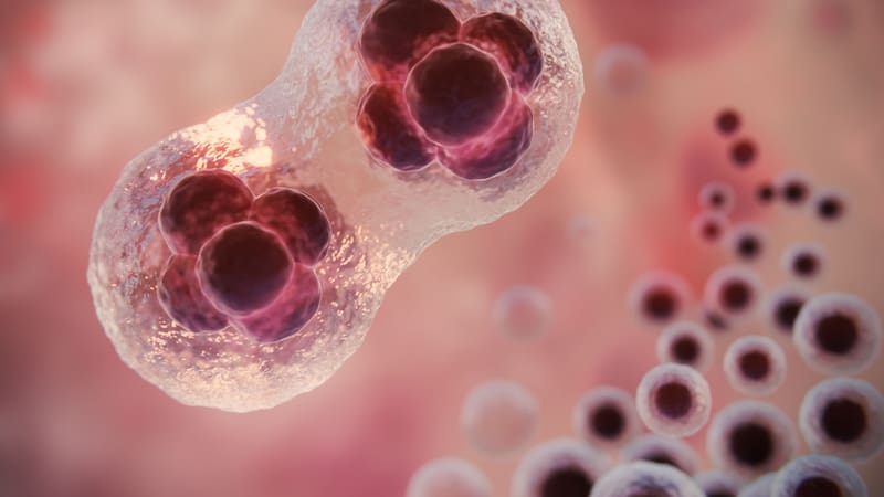 <div class="migrated-promo-image__description"><div class="migrated-promo-image__source">Fuente: Freepik</div></div>