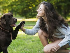 Adiestrar un perro: qué momento de la vida de una mascota es la mejor para que aprenda nuevas habilidades
