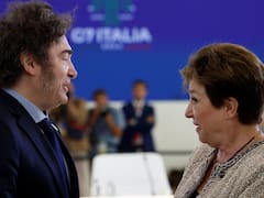 Un exdirector del FMI alertó por las condiciones del préstamo a la Argentina: "Se puede poner bastante duro"