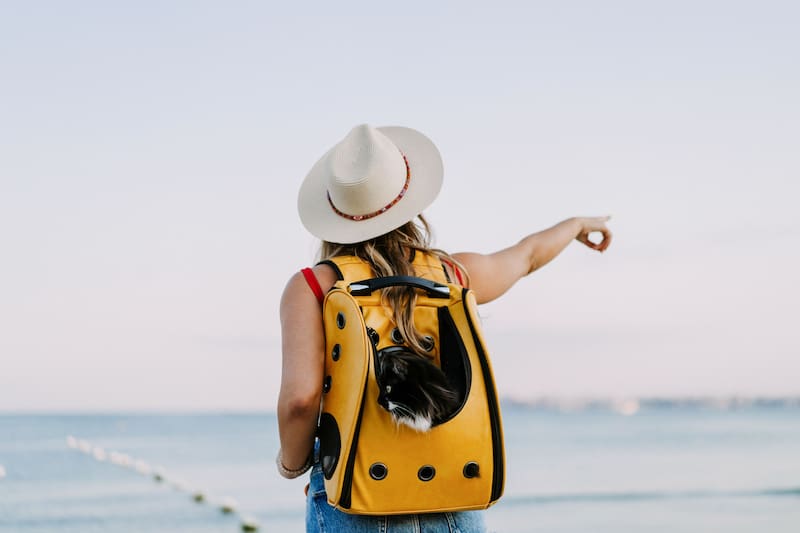 Para los turistas, el costo del paquete es de aproximadamente USD 1400 dólares. (Fuente: Freepik)