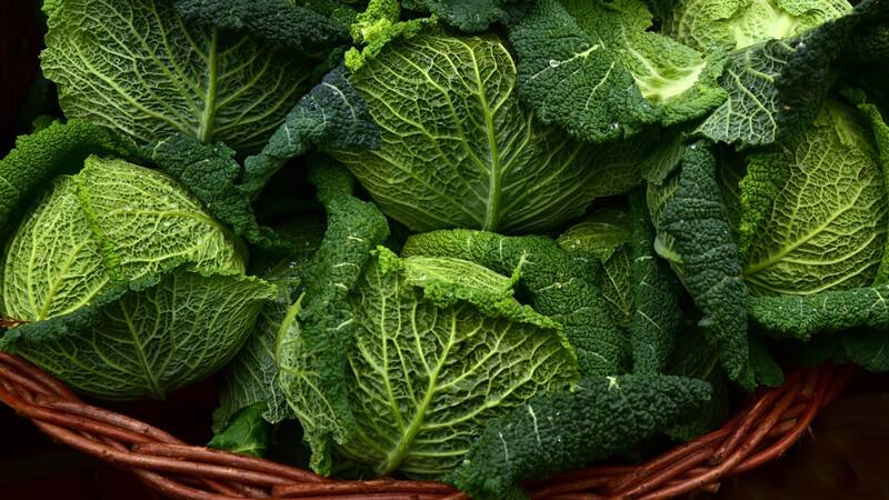 Las coles y crucíferas son ricas en fibra, esencial para promover una buena salud intestinal (Fuente: Pixabay)