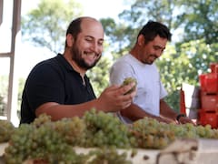 El enólogo mendocino que hace vinos premiados a sólo 6 kilómetros del mar
