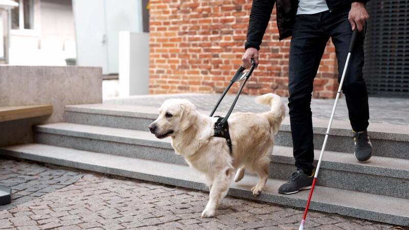 Las enfermedades contempladas por la Seguridad Social. (Foto: Shutterstock).