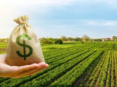 El blockchain llega al campo de la mano de los bancos del Grupo Petersen y Agrotoken