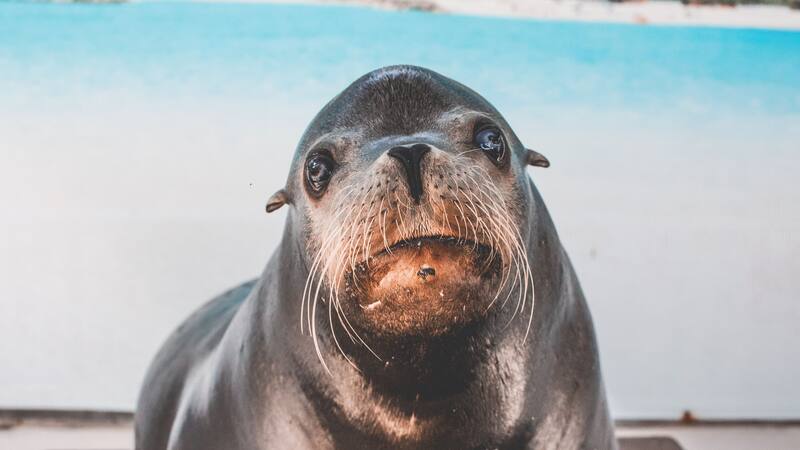 La innovación podría ser clave para la expansión de la energía eólica en alta mar, un sector que enfrenta desafíos significativos debido a las duras condiciones ambientales.