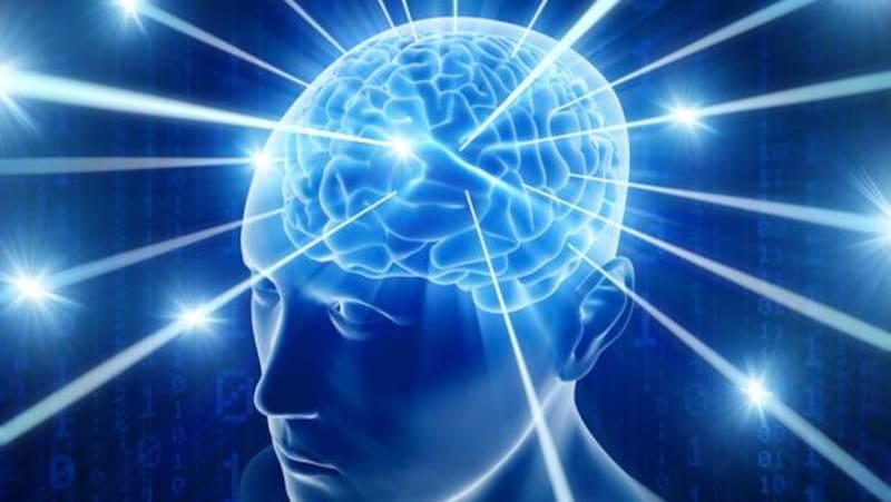 Este estudio reveló una conexión inesperada entre el cerebelo y el mundo emocional (Fuente: archivo)