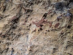 Este pequeño pueblo sorprende con uno de los tesoros arqueológicos más valiosos del país: sus cuevas de arte rupestre con grabados paleolíticos