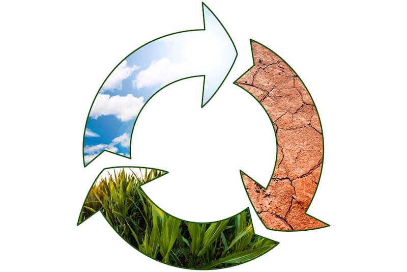 En la Argentina solo se recicla un 6% de los residuos