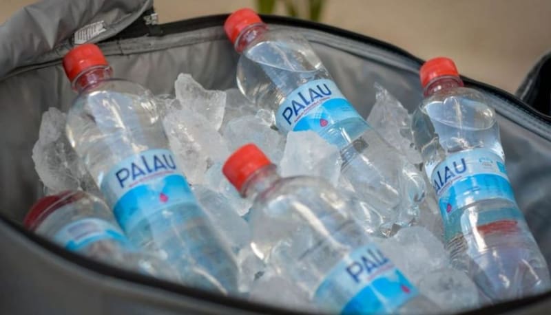 Hoy, la elaboración mensual de botellas de Agua Mineral Palau ronda en torno a 1,2 millones de litros.