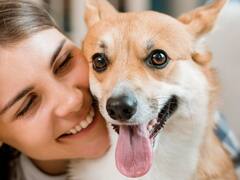 Semana de las Mascotas: lanzan descuentos y beneficios en todo el país