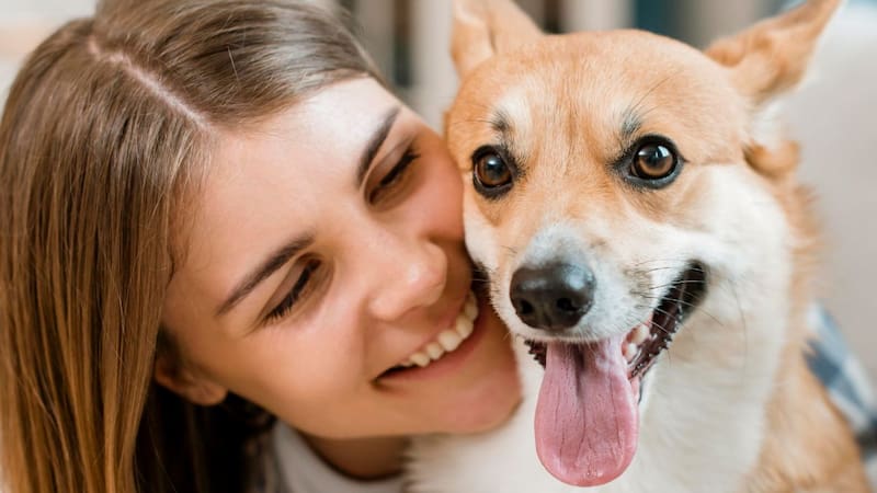 <div class="migrated-promo-image__description"><div class="migrated-promo-image__source">Fuente: Freepik</div></div>