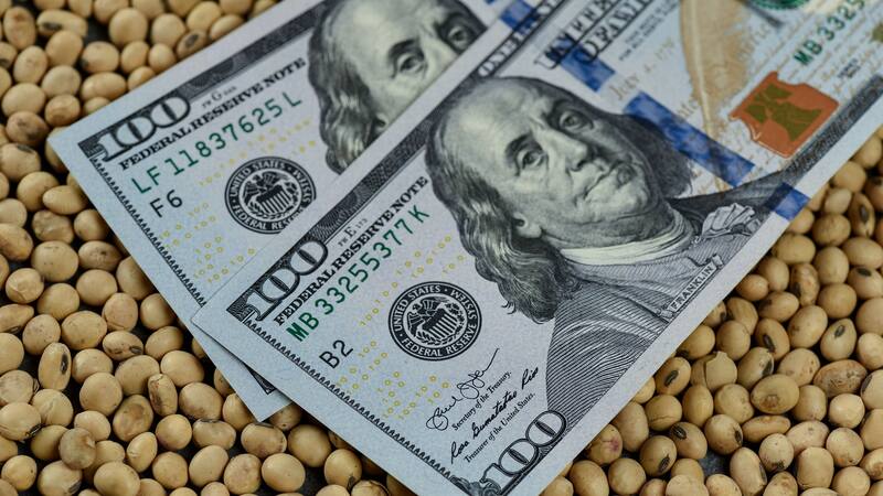 Más dólares por la soja