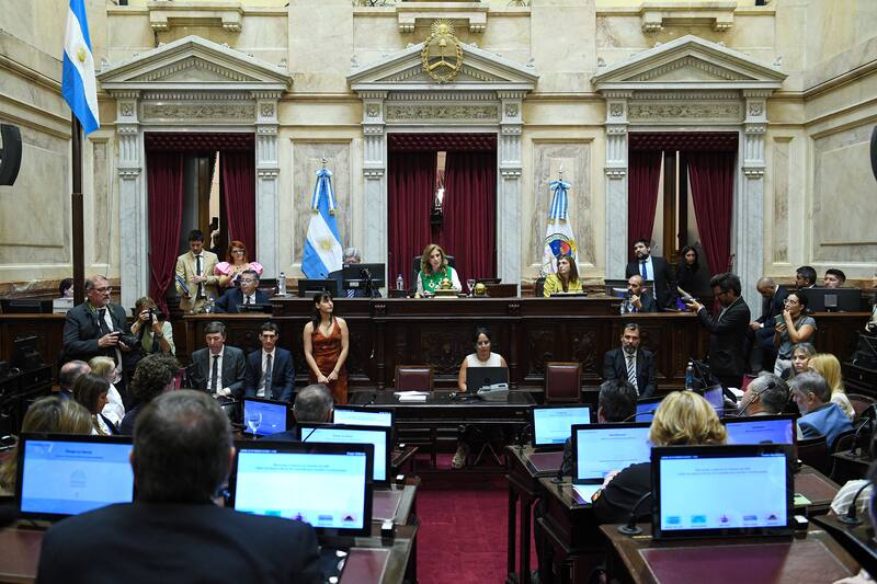 El objetivo de las autoras de los proyectos es avanzar en un texto consensuado.